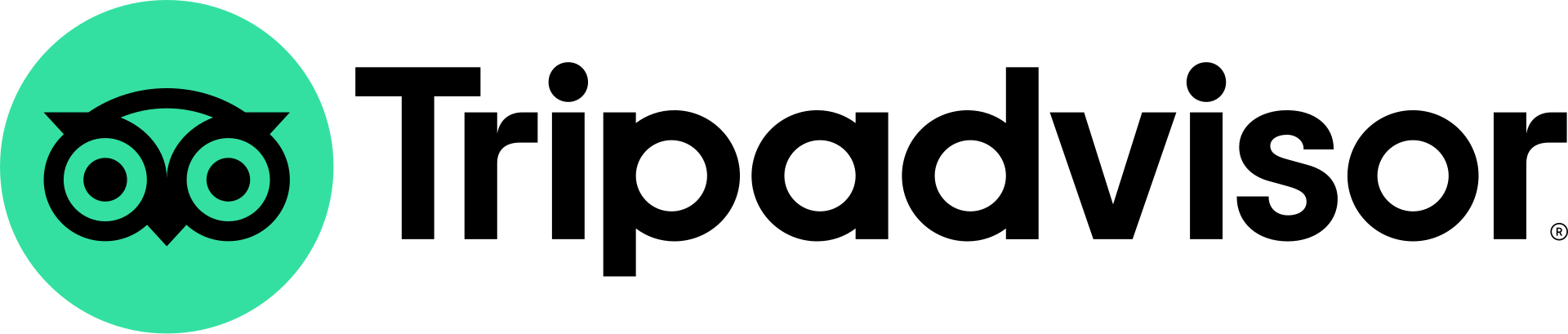 TripAdvisor kanal logosu